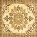 Square Medallion Brown Traditional Rug, tr4403brn