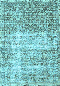 Persian Light Blue Traditional Rug, tr4404lblu