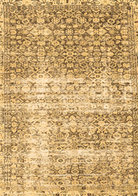 Persian Brown Traditional Rug, tr4404brn