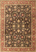 Machine Washable Persian Brown Traditional Rug, wshtr4407brn