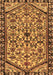 Machine Washable Persian Brown Traditional Rug, wshtr4409brn