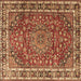 Square Machine Washable Persian Brown Traditional Rug, wshtr4415brn