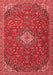 Medallion Red Traditional Area Rugs