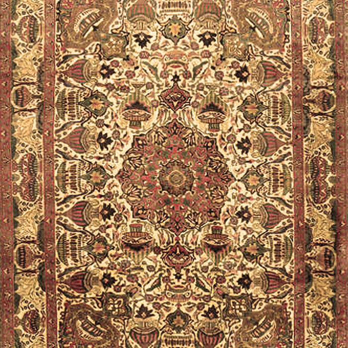Medallion Brown Traditional Rug, tr441brn