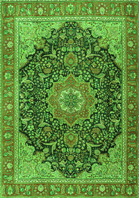 Medallion Green Traditional Rug, tr4424grn