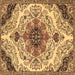 Square Machine Washable Medallion Brown Traditional Rug, wshtr4425brn