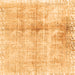 Serging Thickness of Persian Orange Traditional Rug, tr4427org