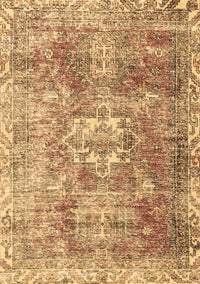 Persian Brown Traditional Rug, tr4428brn