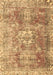 Persian Brown Traditional Rug, tr4428brn