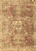 Machine Washable Persian Brown Traditional Rug, wshtr4428brn