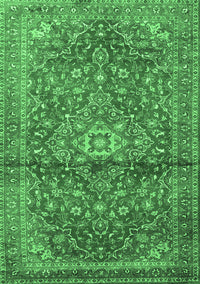 Medallion Emerald Green Traditional Rug, tr4430emgrn