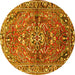 Round Persian Yellow Traditional Rug, tr4431yw