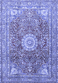 Medallion Blue Traditional Rug, tr4432blu