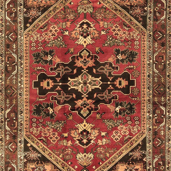 Machine Washable Persian Brown Traditional Rug, wshtr4434brn