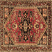 Square Machine Washable Persian Brown Traditional Rug, wshtr4434brn