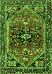 Persian Green Traditional Rug, tr4434grn