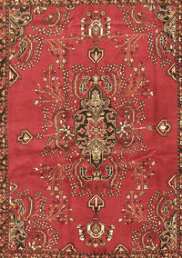 Persian Brown Traditional Rug, tr4435brn