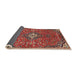 Sideview of Traditional Red Medallion Rug, tr4437