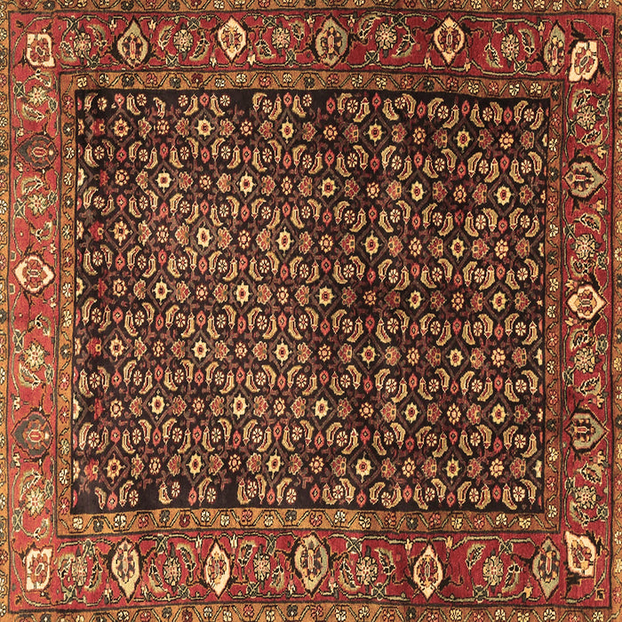 Square Machine Washable Persian Brown Traditional Rug, wshtr4438brn