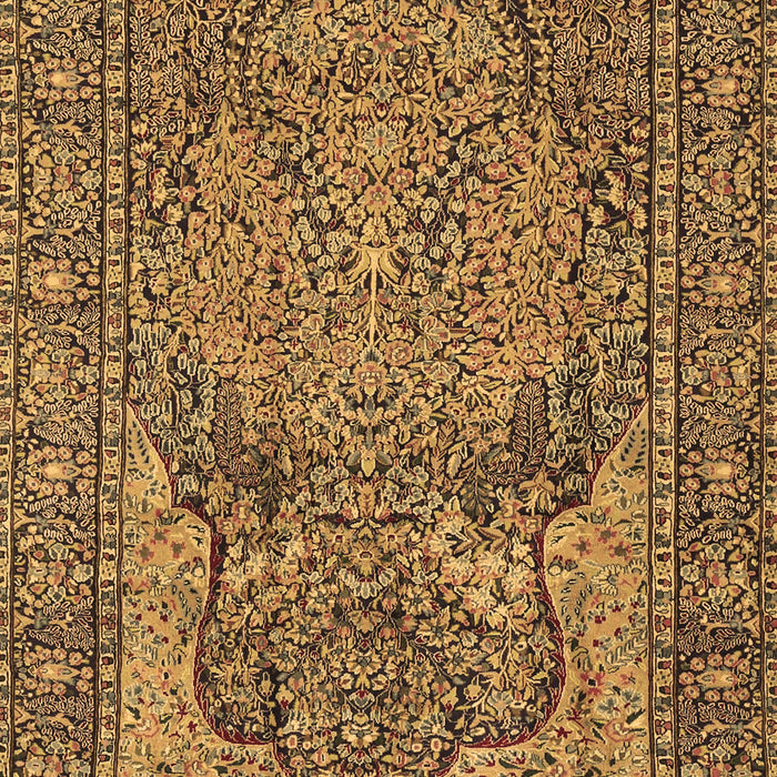 Machine Washable Persian Brown Traditional Rug, wshtr4439brn