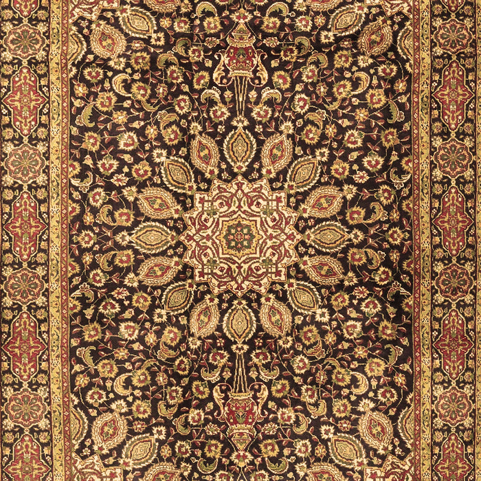 Machine Washable Persian Brown Traditional Rug, wshtr4442brn