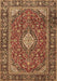 Machine Washable Medallion Brown Traditional Rug, wshtr4443brn