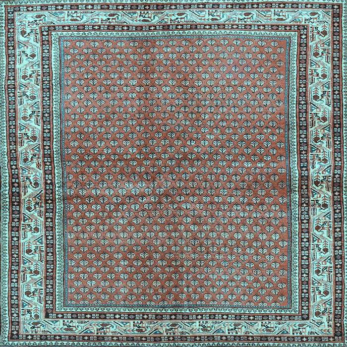 Square Persian Light Blue Traditional Rug, tr4448lblu