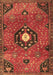 Machine Washable Medallion Brown Traditional Rug, wshtr4449brn