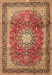 Persian Brown Traditional Rug, tr4453brn