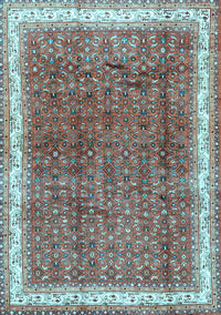 Persian Light Blue Traditional Rug, tr4455lblu