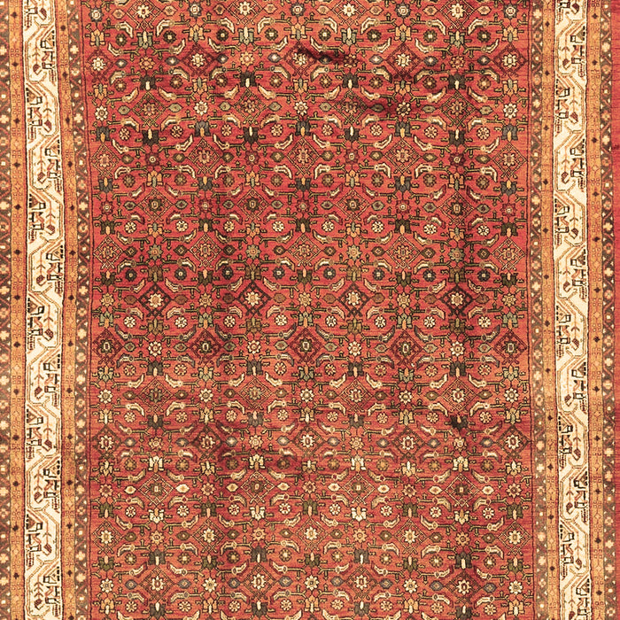 Persian Brown Traditional Rug, tr4455brn