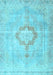 Medallion Light Blue Traditional Rug, tr4459lblu