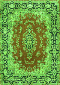 Medallion Green Traditional Rug, tr445grn