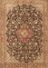 Machine Washable Medallion Brown Traditional Rug, wshtr4460brn