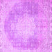 Square Persian Purple Traditional Rug, tr4462pur