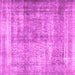 Square Machine Washable Persian Pink Traditional Rug, wshtr4463pnk
