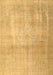 Persian Brown Traditional Rug, tr4464brn