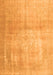 Persian Orange Traditional Rug, tr4464org