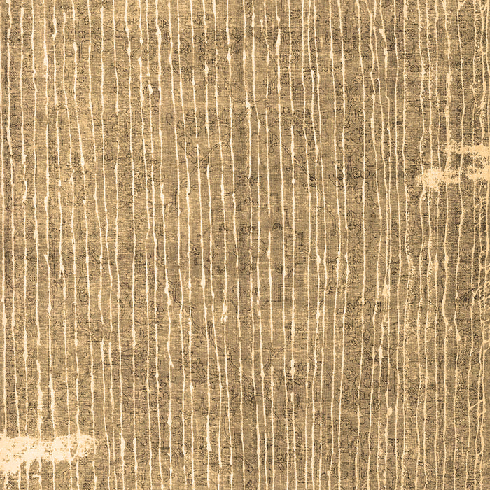 Machine Washable Persian Brown Traditional Rug, wshtr4466brn