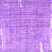 Square Machine Washable Persian Purple Traditional Area Rugs, wshtr4466pur