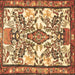 Square Medallion Brown Traditional Rug, tr4471brn