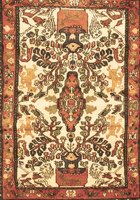 Medallion Brown Traditional Rug, tr4471brn