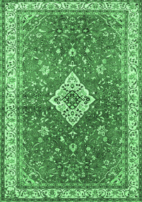 Medallion Emerald Green Traditional Rug, tr4475emgrn