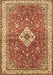 Medallion Brown Traditional Rug, tr4475brn