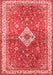 Medallion Red Traditional Area Rugs