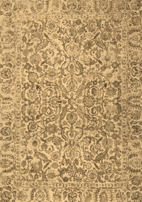 Persian Brown Traditional Rug, tr4476brn