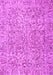 Persian Pink Traditional Rug, tr4476pnk