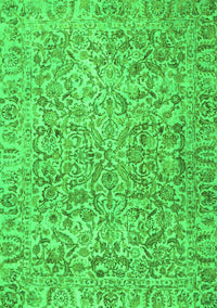 Persian Green Traditional Rug, tr4476grn