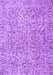 Persian Purple Traditional Rug, tr4476pur