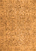 Persian Orange Traditional Rug, tr4476org